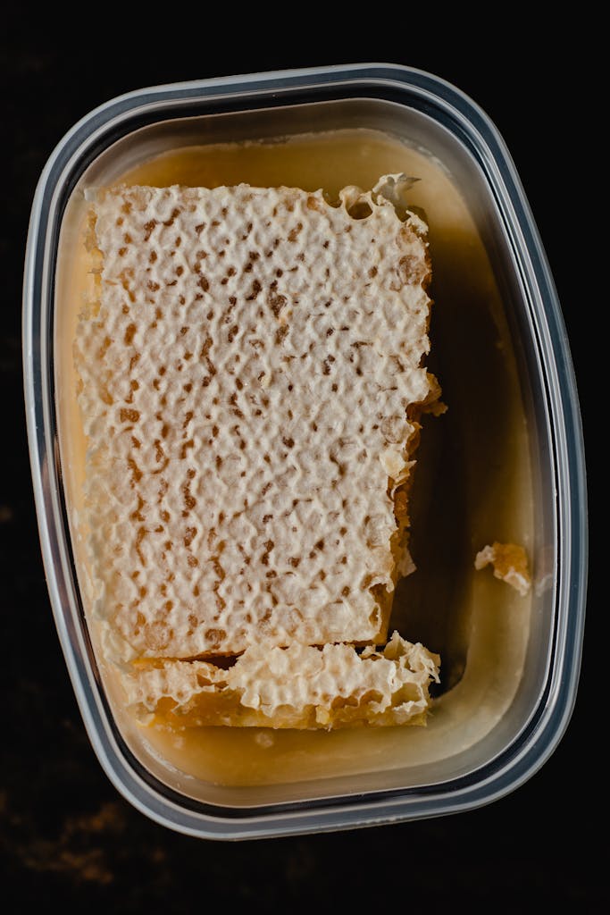 A Plastic Container with a Cube of Beeswax