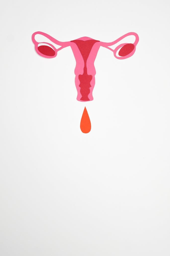 Illustration of Menstruation